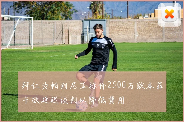 拜仁为帕利尼亚标价2500万欧本菲卡欲延迟谈判以降低费用